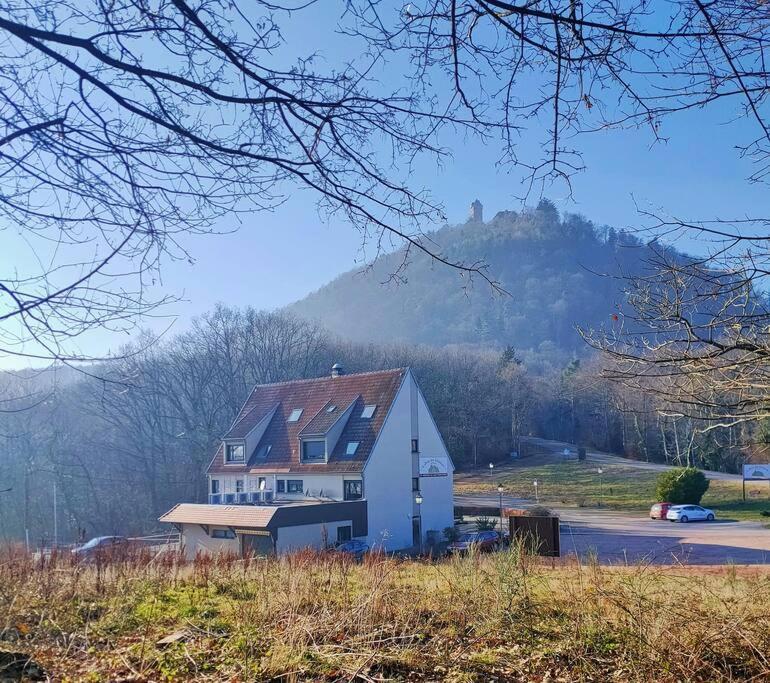 Au Pied Du Chateau Orschwiller Zewnętrze zdjęcie